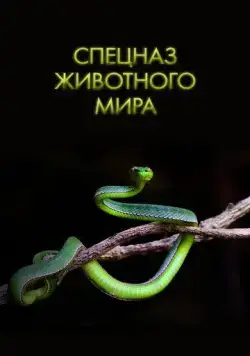 Спецназ животного мира / Animal Special Forces (2018) сериал скачать через торрент в хорошем качестве