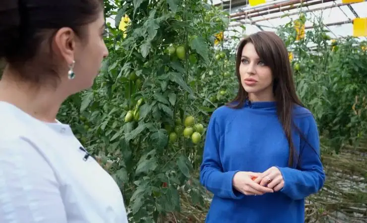 За едой (2022) в хорошем качестве через торрент За едой (2022) сериал в хорошем качестве через торрент