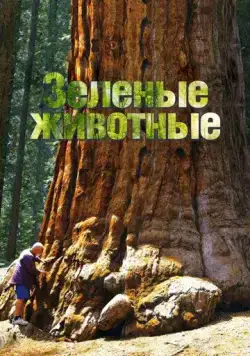 Зелёные животные / Green Animal (2015) сериал скачать через торрент в хорошем качестве