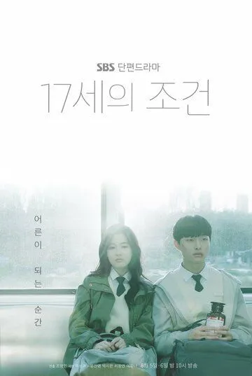 Условия 17-летних / 17seui jogeon (2019) сериал скачать через торрент в хорошем качестве