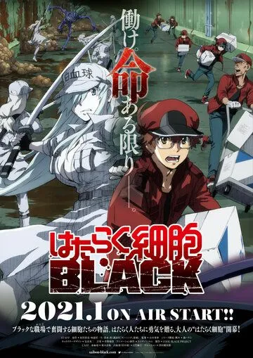 Клетки за работой! Тёмная сторона / Hataraku Saibou Black (2021) мультфильм скачать через торрент в хорошем качестве