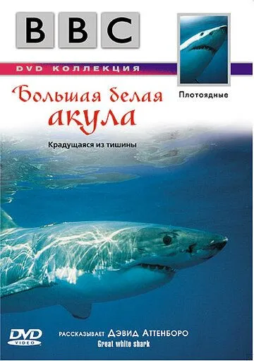BBC: Большая белая акула / Great White Shark (1995) фильм скачать через торрент в хорошем качестве