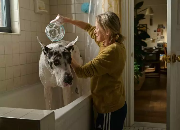 Верный друг (2024) через торрент бесплатно Верный друг (2024) фильм через торрент бесплатно