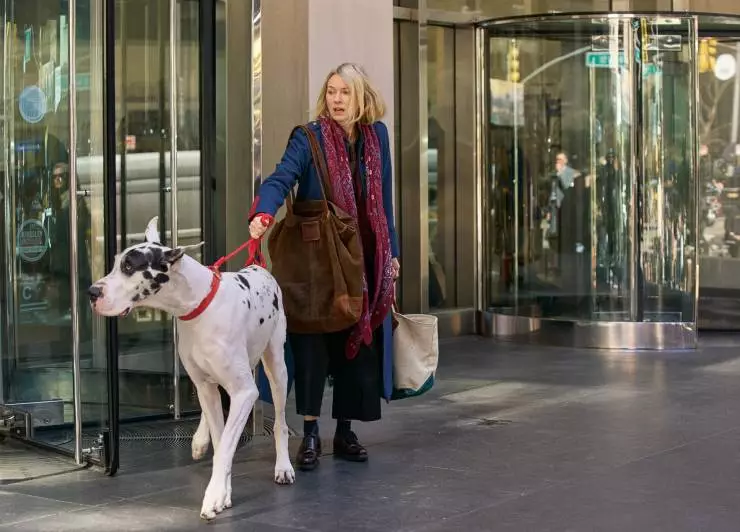 Верный друг (2024) через торрент скачать Верный друг (2024) фильм через торрент скачать