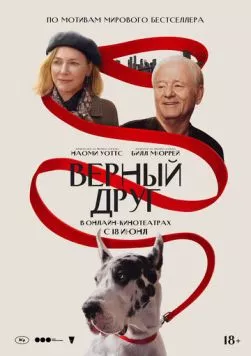 Верный друг / The Friend (2024) фильм скачать через торрент в хорошем качестве