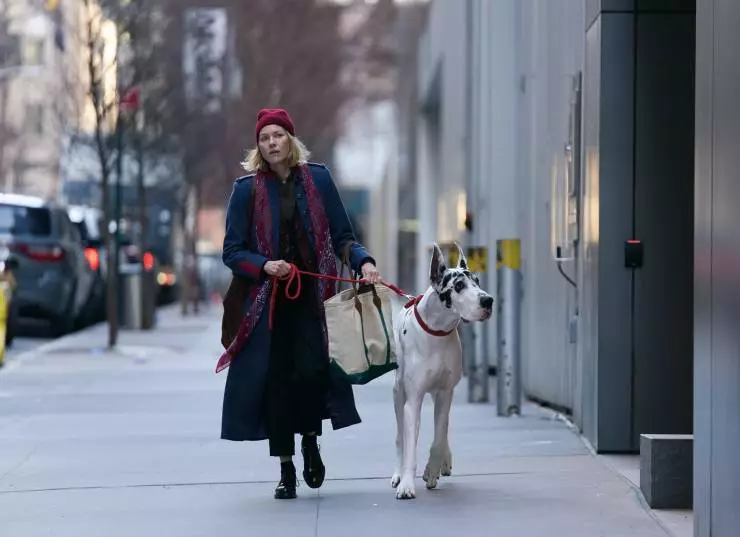 Верный друг (2024) в хорошем качестве через торрент Верный друг (2024) фильм в хорошем качестве через торрент