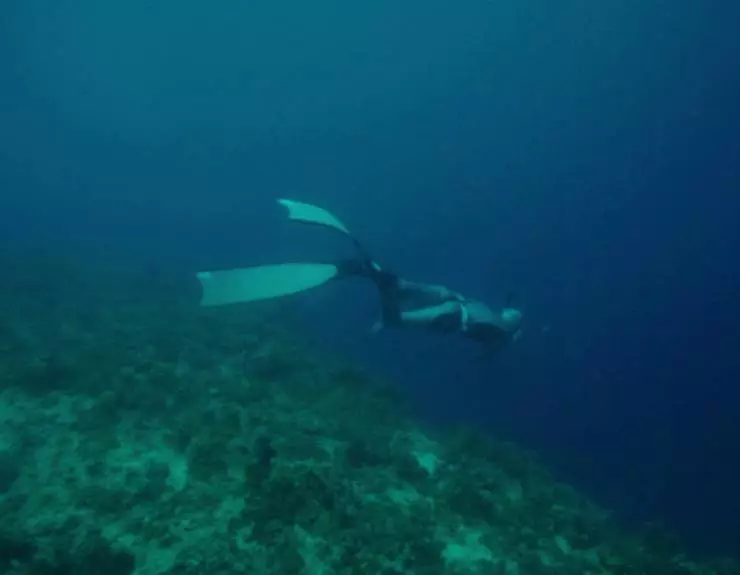 Глубь (2018) через торрент скачать Глубь (2018) фильм через торрент скачать