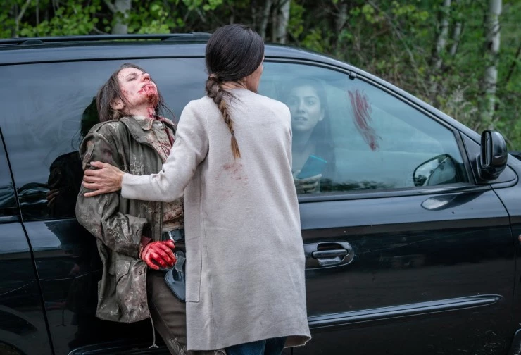 Гризли (2025) в хорошем качестве через торрент Гризли (2025) фильм в хорошем качестве через торрент