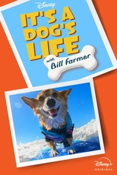 It's A Dog's Life (2020) сериал скачать через торрент в хорошем качестве
