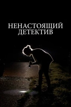 Ненастоящий детектив / Citizen Sleuth (2023) фильм скачать через торрент в хорошем качестве