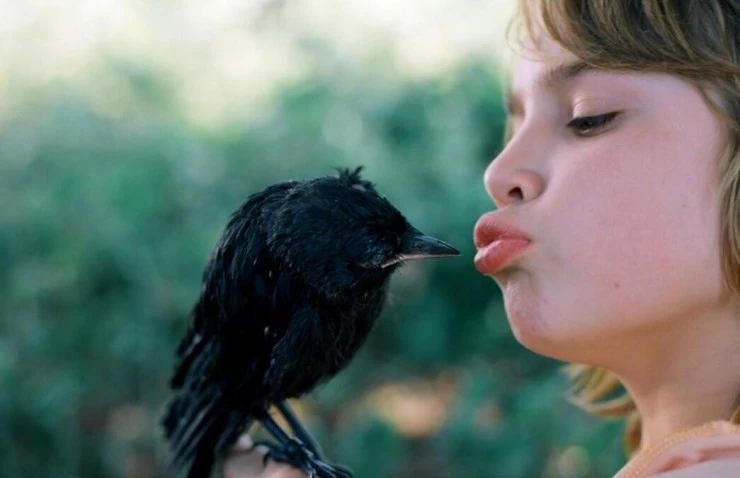 Галчонок (2012) через торрент скачать Галчонок (2012) фильм через торрент скачать