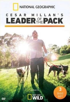 Сесар Миллан: Вожак стаи / Cesar Millan's Leader of the Pack (2012) сериал скачать через торрент в хорошем качестве