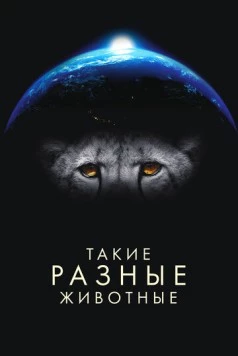 Такие разные животные / Life in the Animal Kingdom (2024) сериал скачать через торрент в хорошем качестве