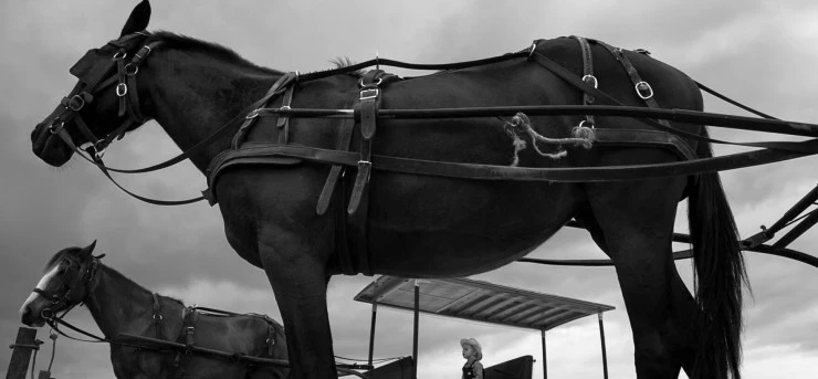 Саламанка (2015) через торрент скачать Саламанка (2015) фильм через торрент скачать