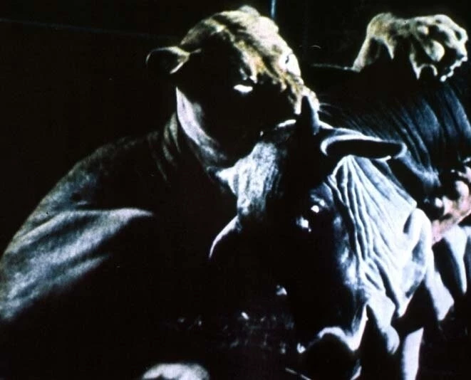 Дикие звери (1984) через торрент скачать Дикие звери (1984) фильм через торрент скачать