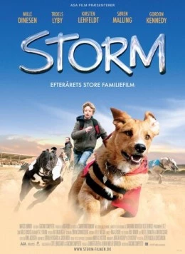 Шторм / Storm (2009) фильм скачать через торрент в хорошем качестве