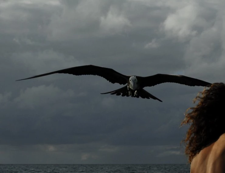 К морю (2009) в хорошем качестве через торрент К морю (2009) фильм в хорошем качестве через торрент