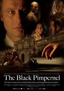 Черная гвоздика / The Black Pimpernel (2007) фильм скачать через торрент в хорошем качестве