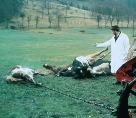 Подмастерье убийцы (1988) через торрент скачать Подмастерье убийцы (1988) фильм через торрент скачать