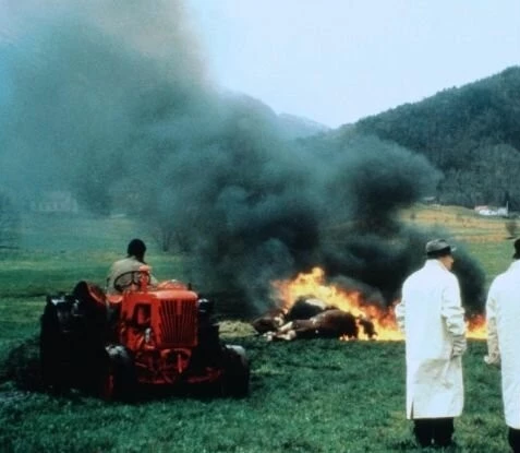 Подмастерье убийцы (1988) через торрент бесплатно Подмастерье убийцы (1988) фильм через торрент бесплатно