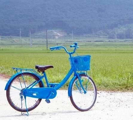 Слон на велосипеде (2007) через торрент скачать Слон на велосипеде (2007) фильм через торрент скачать