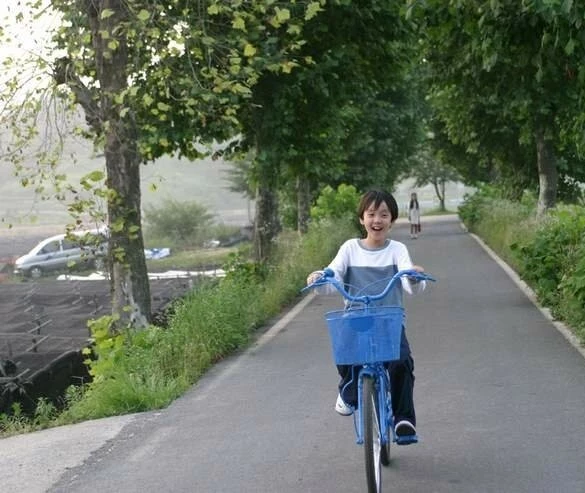 Слон на велосипеде (2007) в хорошем качестве через торрент Слон на велосипеде (2007) фильм в хорошем качестве через торрент