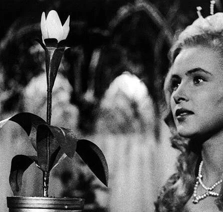 Горделивая принцесса (1952) через торрент скачать Горделивая принцесса (1952) фильм через торрент скачать