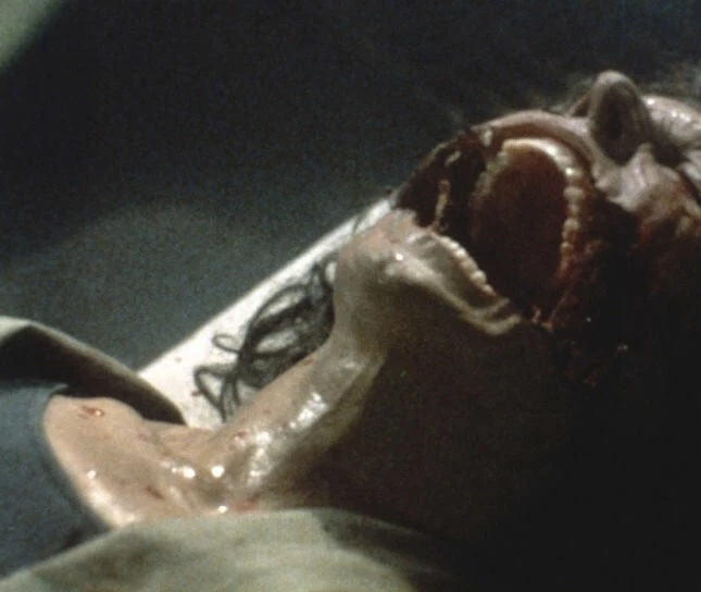 Ночной полёт (1987) в хорошем качестве через торрент Ночной полёт (1987) фильм в хорошем качестве через торрент