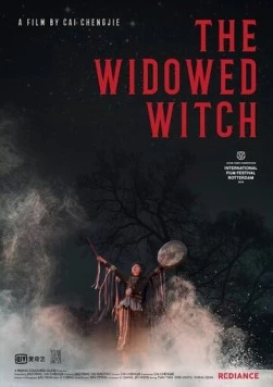 Овдовевшая ведьма / Bei fang yi pian cang mang (2017) фильм скачать через торрент в хорошем качестве