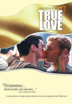 Истинная любовь / True Love (2004) фильм скачать через торрент в хорошем качестве