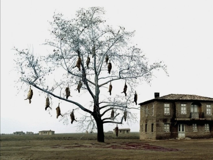 Трилогия: Плачущий луг (2004) через торрент скачать Трилогия: Плачущий луг (2004) фильм через торрент скачать