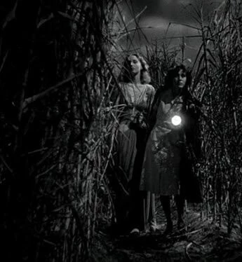 Я гуляла с зомби (1943) через торрент скачать Я гуляла с зомби (1943) фильм через торрент скачать