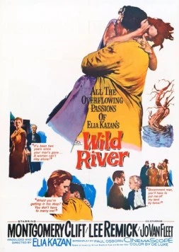 Дикая река / Wild River (1960) фильм скачать через торрент в хорошем качестве