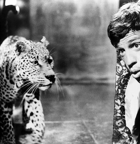 Супермозг (1969) через торрент скачать Супермозг (1969) фильм через торрент скачать