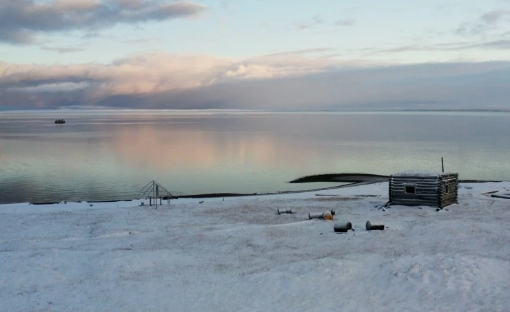 В Арктику (2023) через торрент скачать В Арктику (2023) фильм через торрент скачать