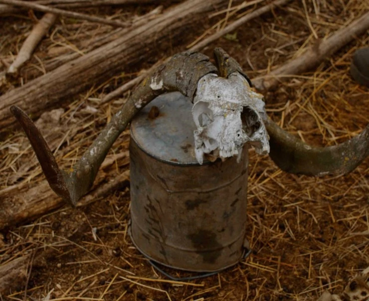 Помощь Док (2022) через торрент бесплатно Помощь Док (2022) фильм через торрент бесплатно