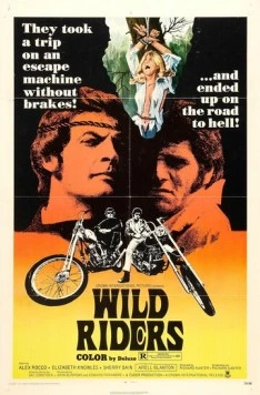 Дикие мятежники / Wild Riders (1971) фильм скачать через торрент в хорошем качестве