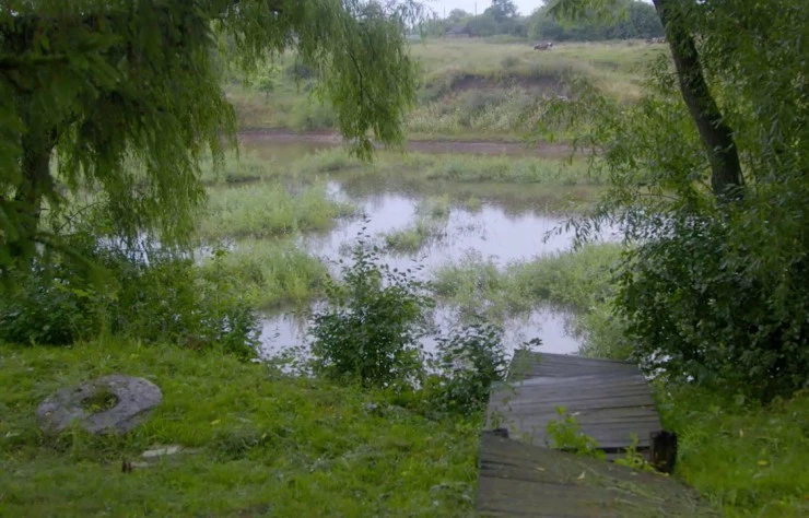 Бунинъ (2024) через торрент скачать Бунинъ (2024) фильм через торрент скачать