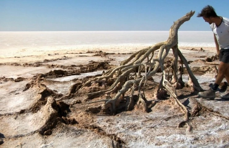 Соль (2009) через торрент скачать Соль (2009) фильм через торрент скачать