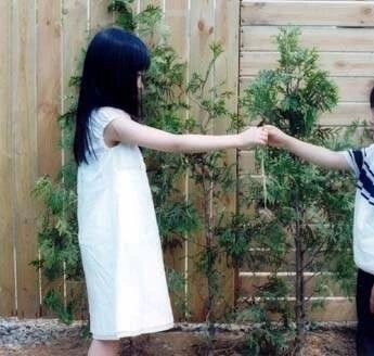 Акация (2003) через торрент бесплатно Акация (2003) фильм через торрент бесплатно