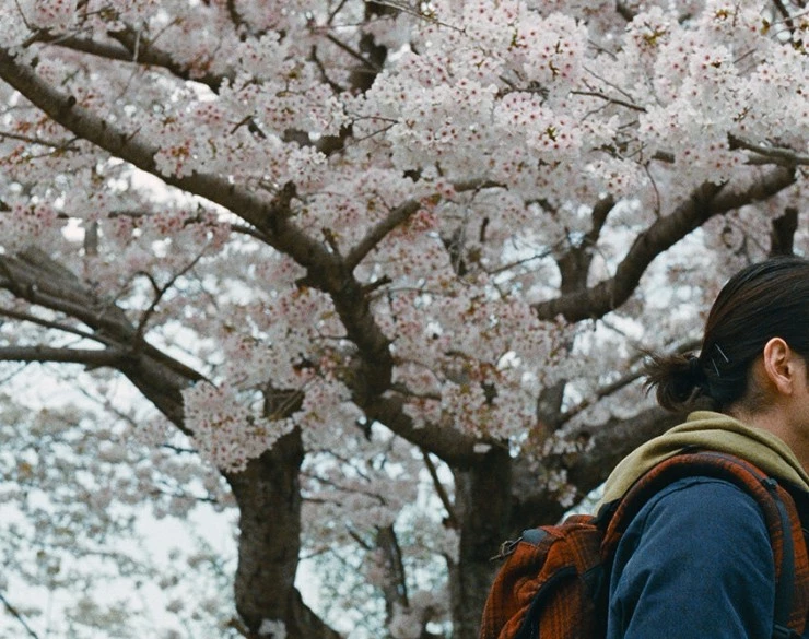 Великое отсутствие (2023) через торрент скачать Великое отсутствие (2023) фильм через торрент скачать