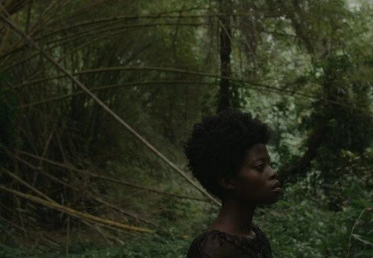 Кваку Ананси (2013) в хорошем качестве через торрент Кваку Ананси (2013) фильм в хорошем качестве через торрент