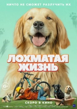 Лохматая жизнь / Алдагдсан өдрүүд (2023) фильм скачать через торрент в хорошем качестве