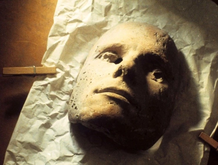 Солнце в листве айвового дерева (1992) через торрент бесплатно Солнце в листве айвового дерева (1992) фильм через торрент бесплатно