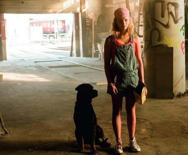 Конни и компания (2016) в хорошем качестве через торрент Конни и компания (2016) фильм в хорошем качестве через торрент