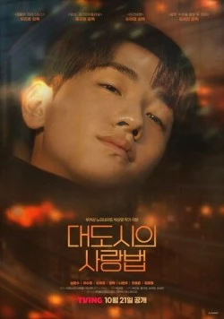 Любовь в большом городе / Daedosiui sarangbeom (2024) сериал скачать через торрент в хорошем качестве