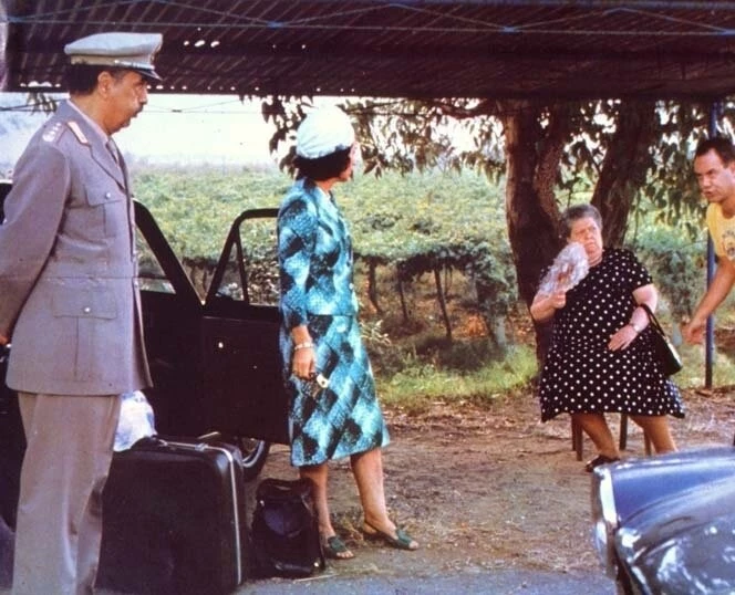 Белый, красный и зеленый (1981) в хорошем качестве через торрент Белый, красный и зеленый (1981) фильм в хорошем качестве через торрент