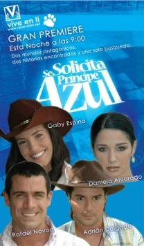 В поисках идеального мужчины / Se solicita príncipe azul (2005) фильм скачать через торрент в хорошем качестве