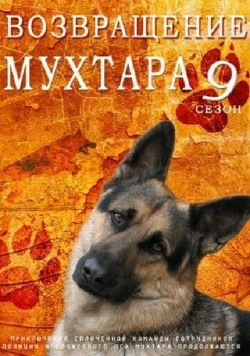 Возвращение Мухтара 9 (2013) сериал скачать через торрент в хорошем качестве