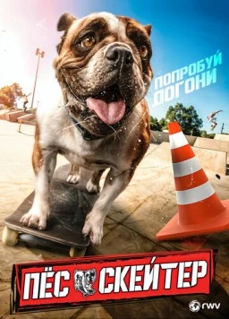 Пёс-скейтер / Sk8 Dawg (2018) фильм скачать через торрент в хорошем качестве